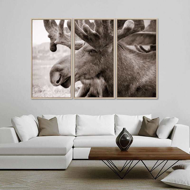 Moose Head Wall Art