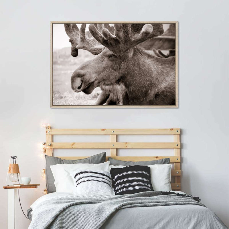Moose Head Wall Art