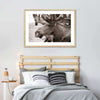 Moose Head Wall Art