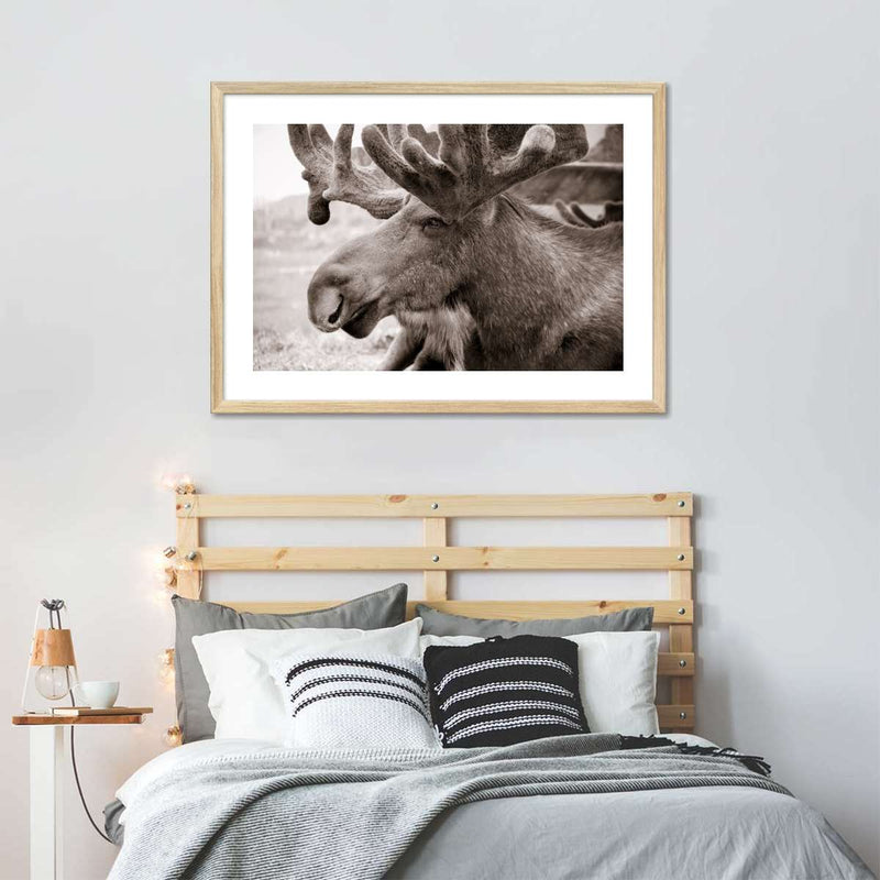 Moose Head Wall Art