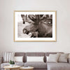 Moose Head Wall Art