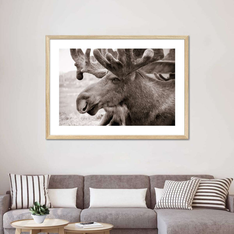 Moose Head Wall Art