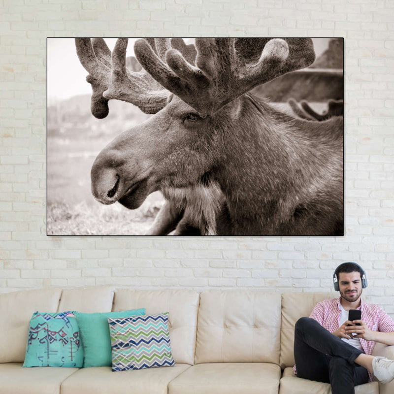 Moose Head Wall Art