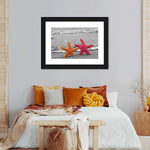 Nautical Starfish Duo Wall Art