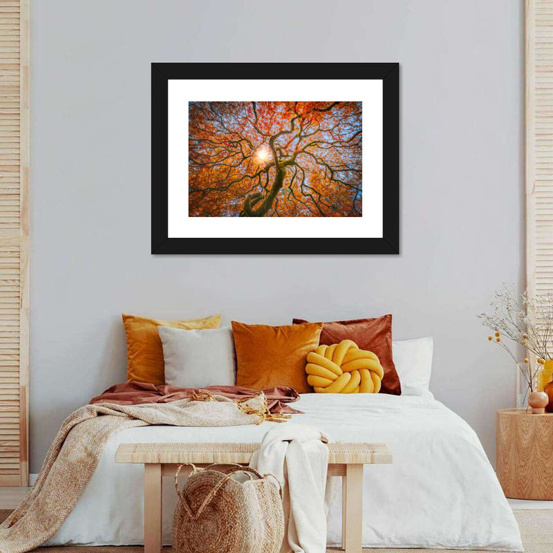 Japanese Maple Tree Wall Art