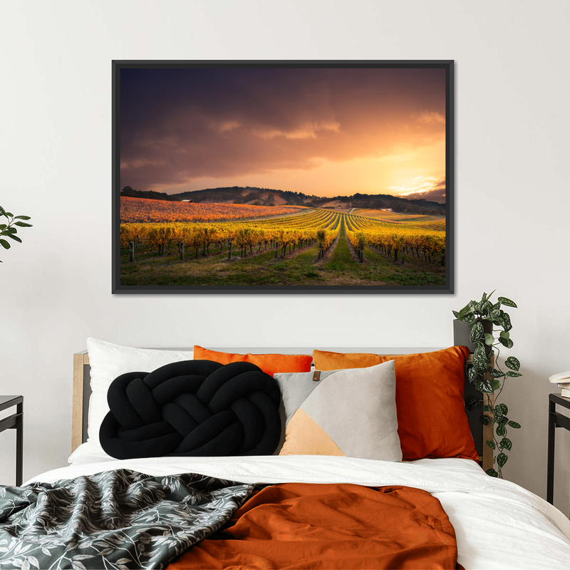 South Australia Vineyard Wall Art