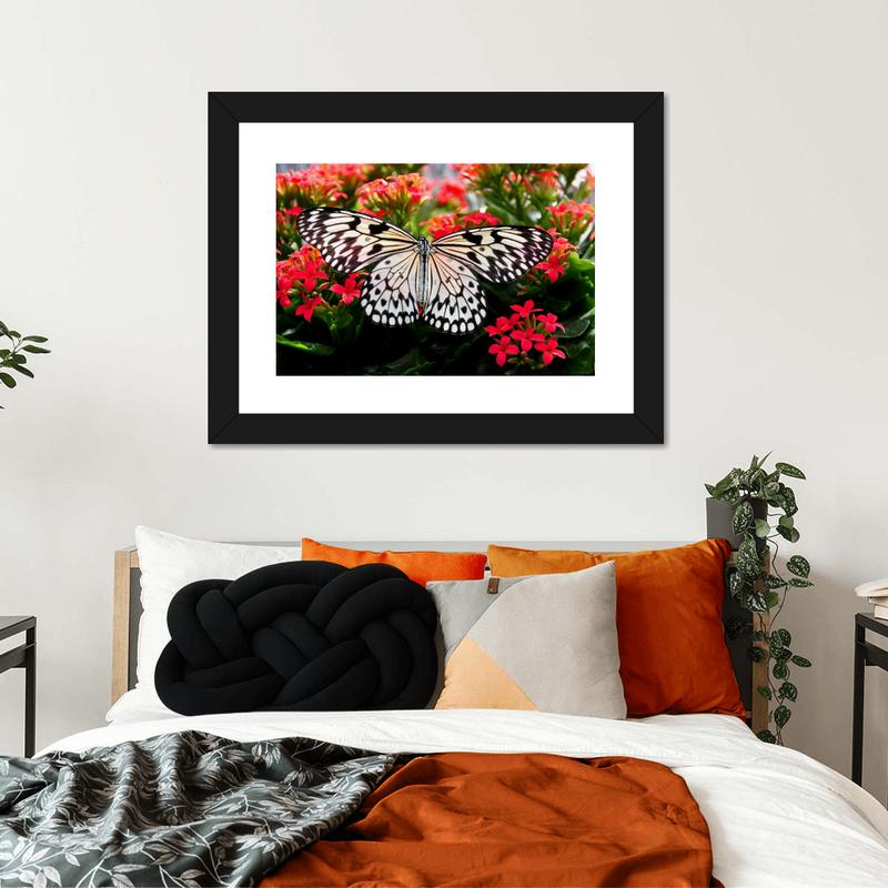 Pretty Butterfly Wall Art