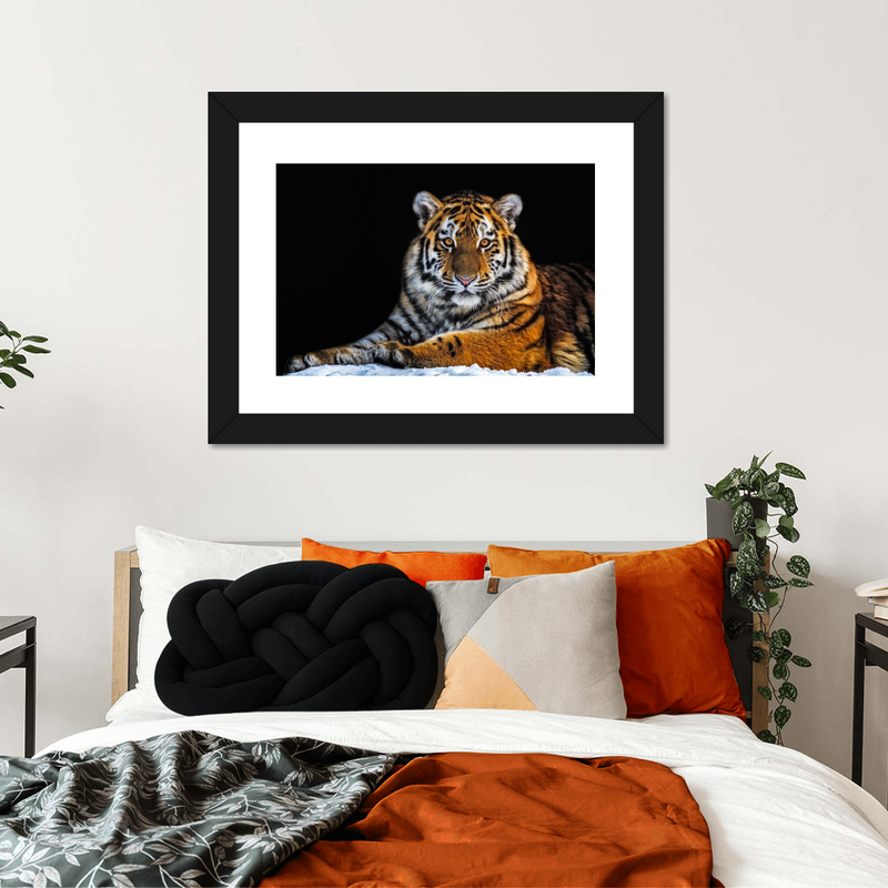 Tiger Snapshot Wall Art