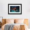 Octopus Vulgaris Wall Art