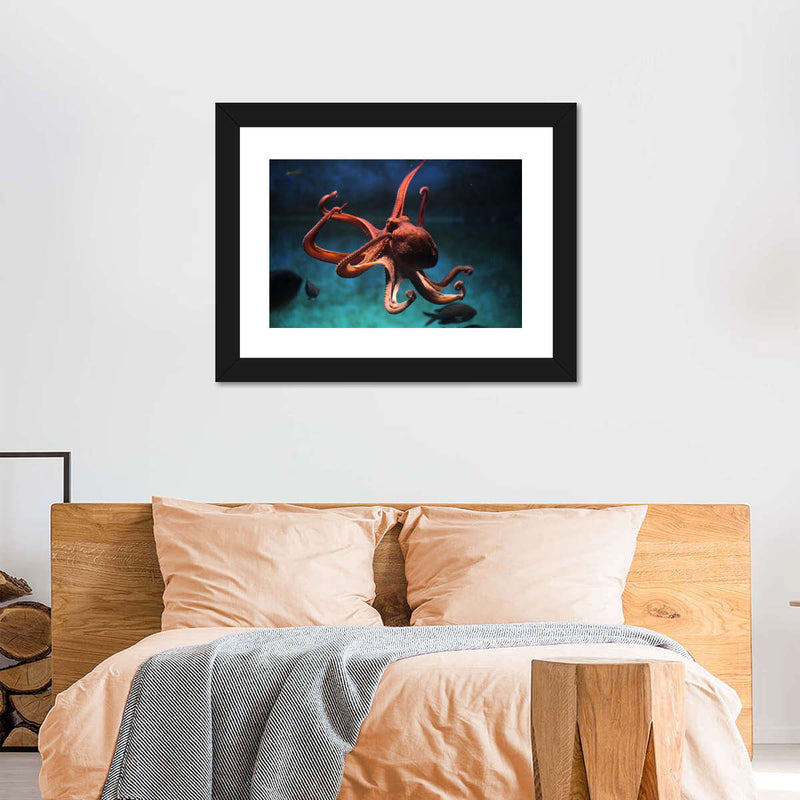 Octopus Vulgaris Wall Art