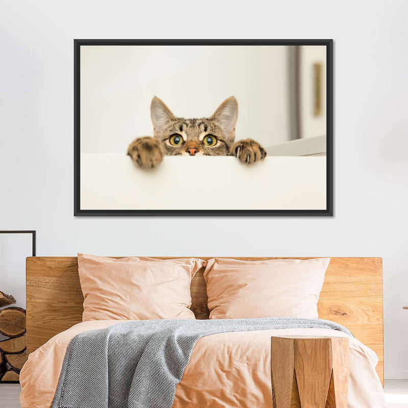 Peeking Young Cat Wall Art