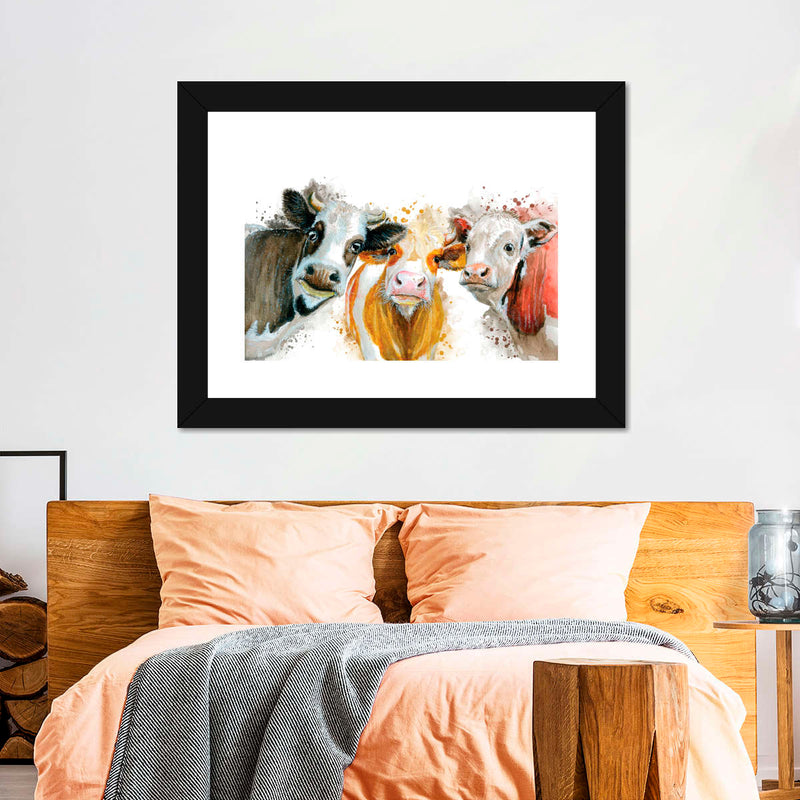 Livestock Cows Splash Wall Art