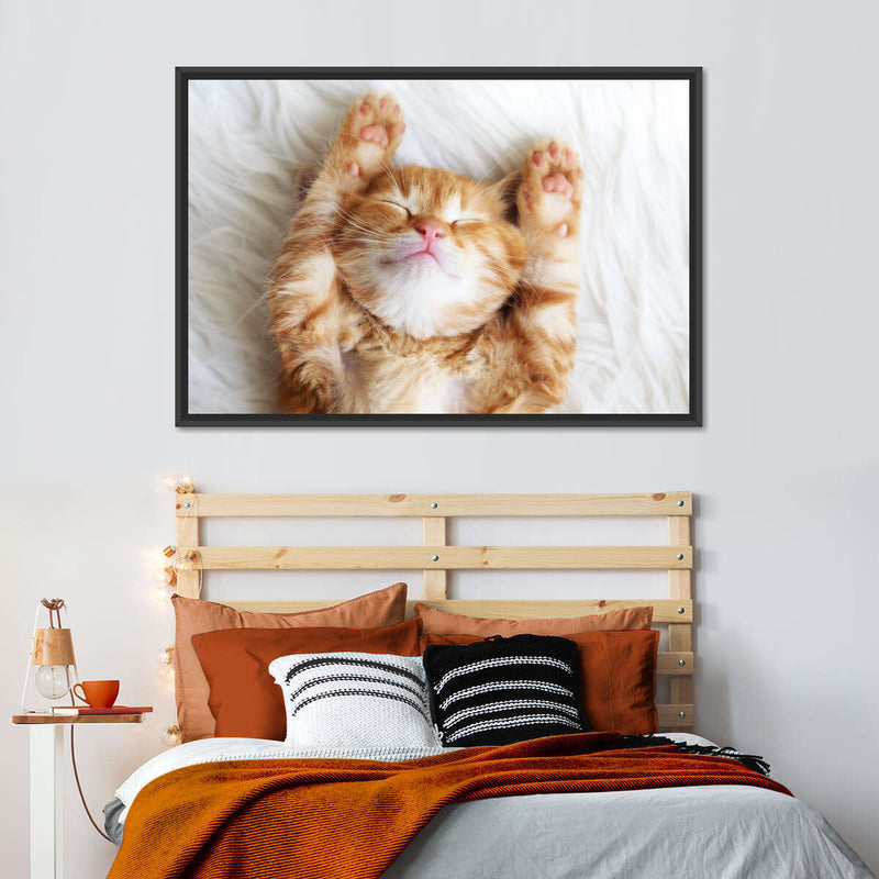 Sleepy Kitty Wall Art
