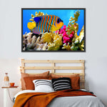 Queen Angelfish Wall Art