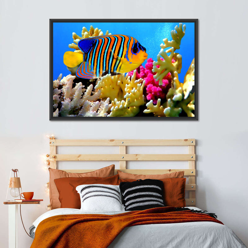 Queen Angelfish Wall Art