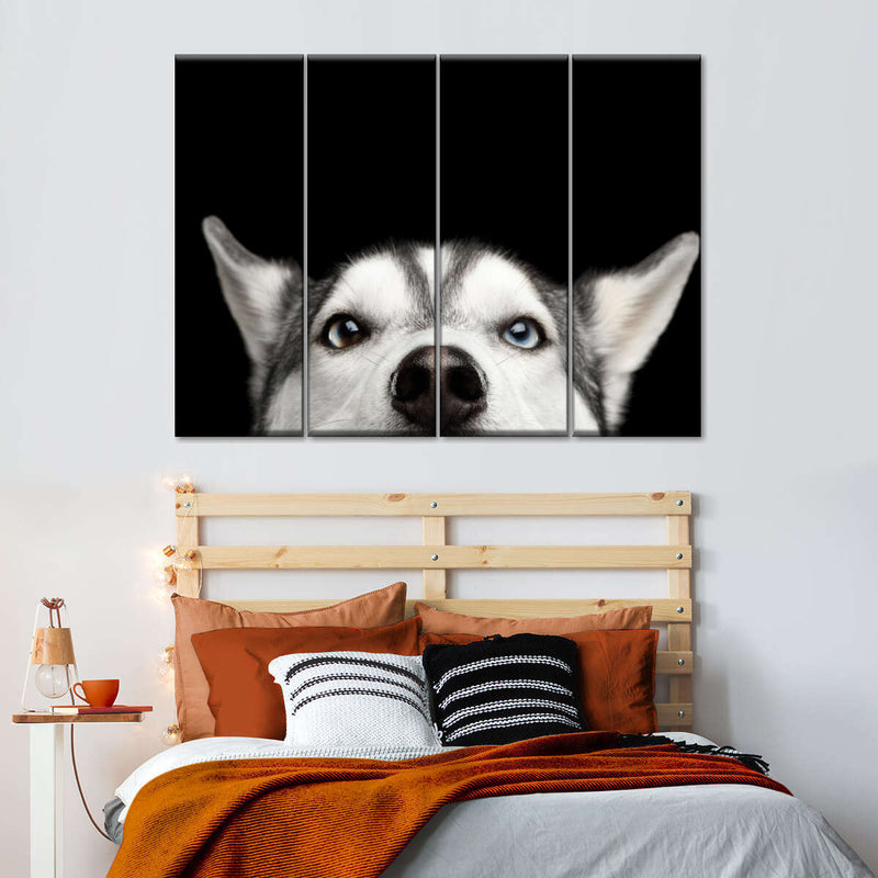 Peeking Siberian Husky Wall Art