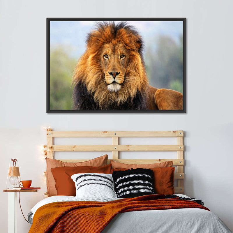 Proud Lion Wall Art