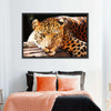 Leopard Gaze Wall Art