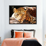 Leopard Gaze Wall Art