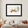 Peeking Young Cat Wall Art
