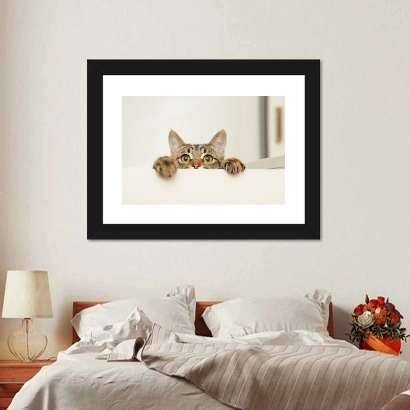 Peeking Young Cat Wall Art