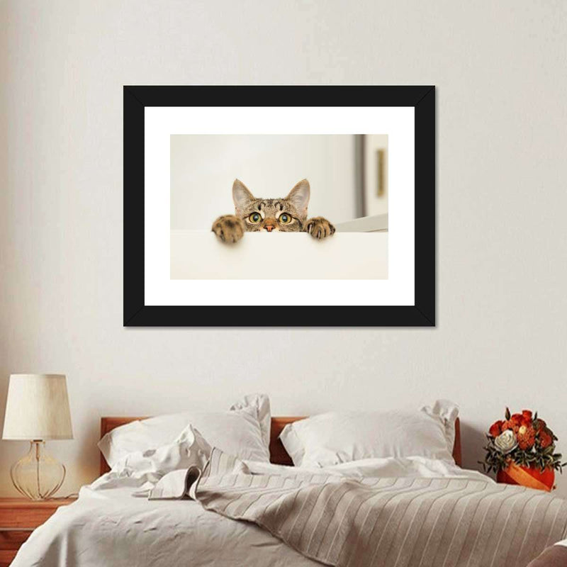 Peeking Young Cat Wall Art