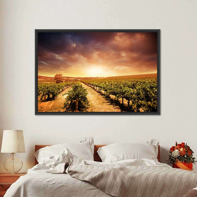 Vineyards Wall Art