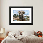 Safari Elephants Wall Art