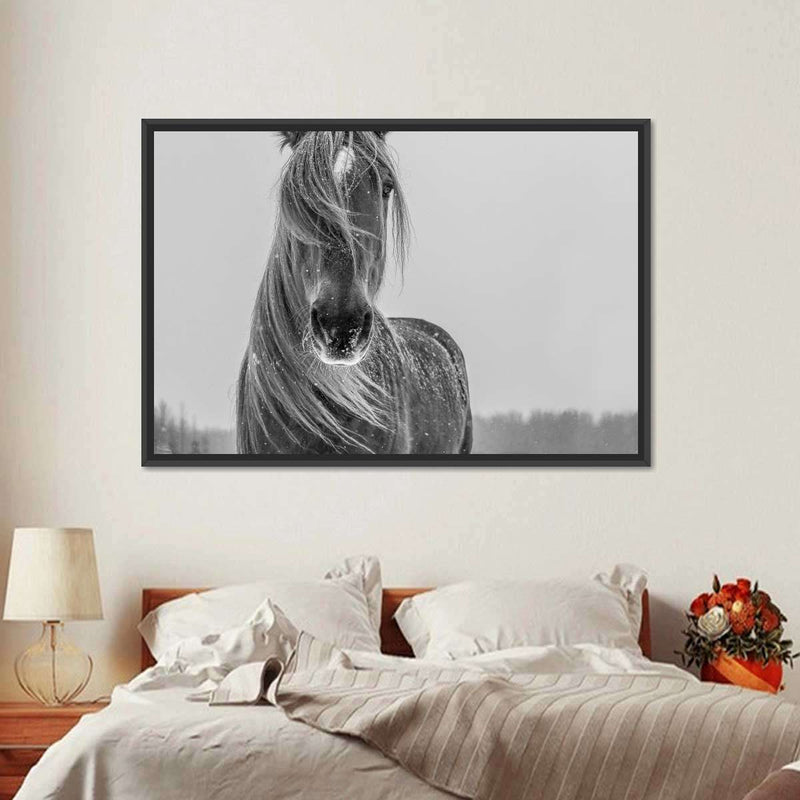 Winter Horse Wall Art