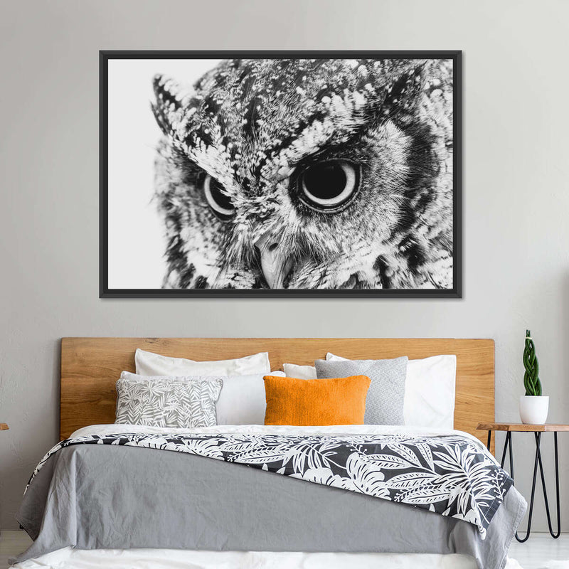 Staring Owl Wall Art