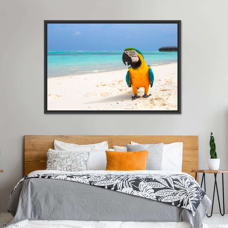 Parrot On Summer Day Wall Art