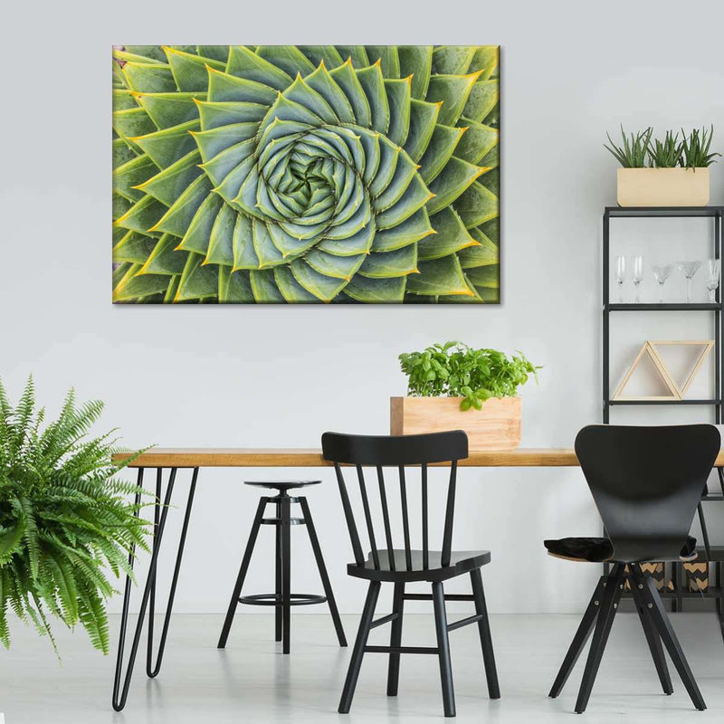 Spiral Succulent Wall Art