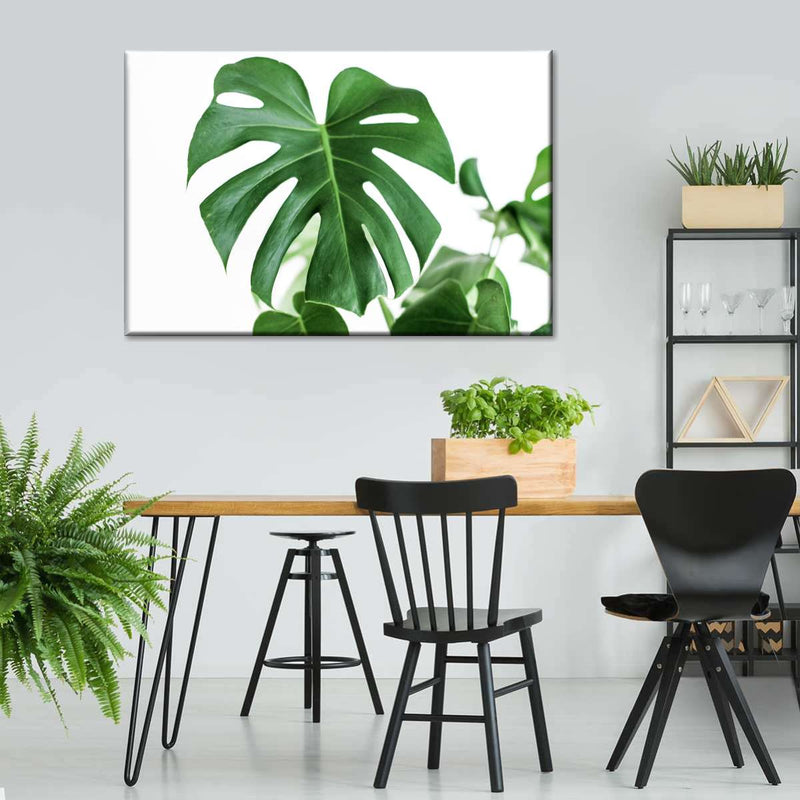 Monstera Leaf Wall Art