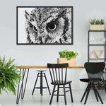 Staring Owl Wall Art