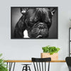 Melancholic French Bulldog Wall Art
