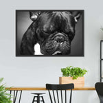 Melancholic French Bulldog Wall Art