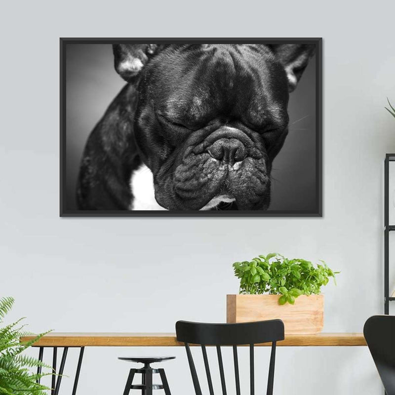 Melancholic French Bulldog Wall Art