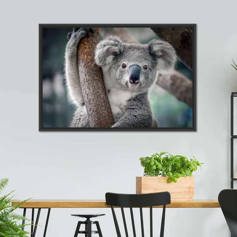 Happy Koala Wall Art
