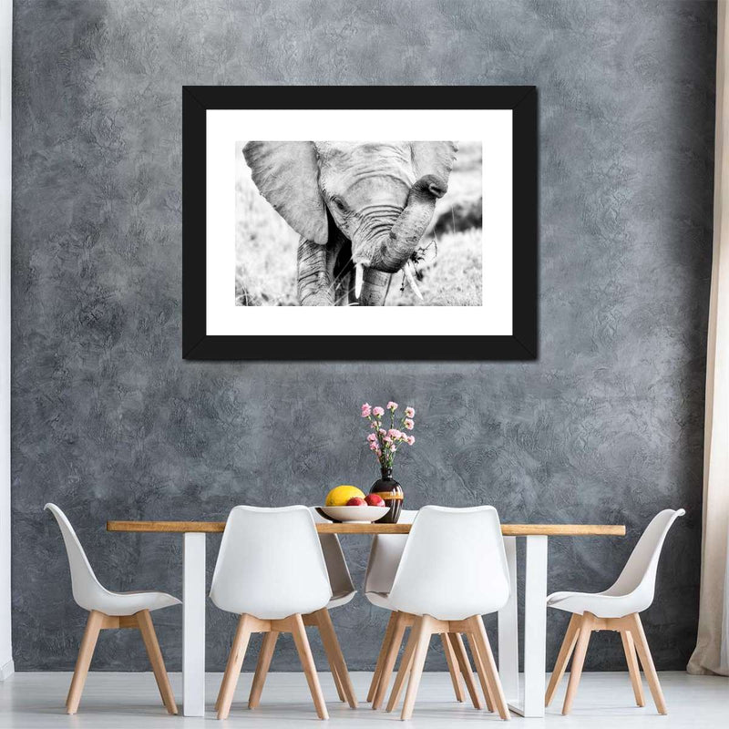 Kenyan Baby Elephant Wall Art
