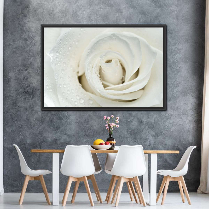 White Rose Close Up Wall Art