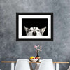 Peeking Siberian Husky Wall Art