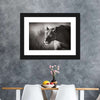 Stalking Lioness Wall Art
