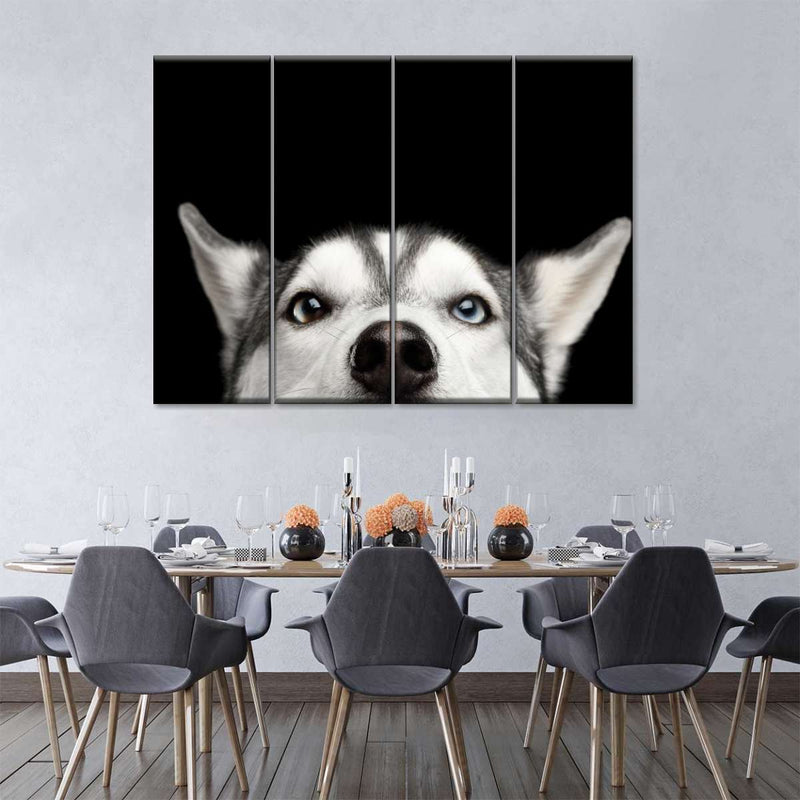 Peeking Siberian Husky Wall Art