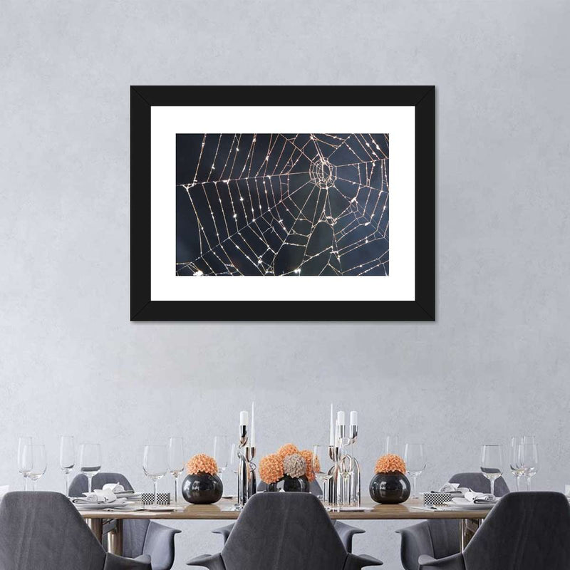 Spider Web Wall Art