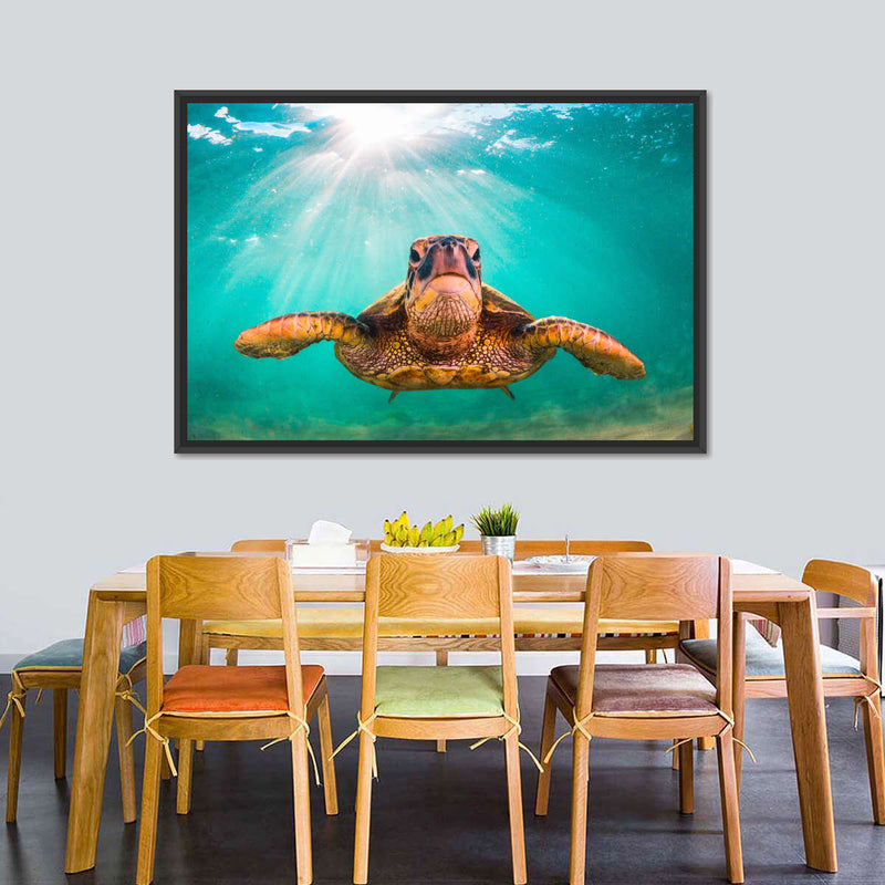 Maui Green Turtle Wall Art