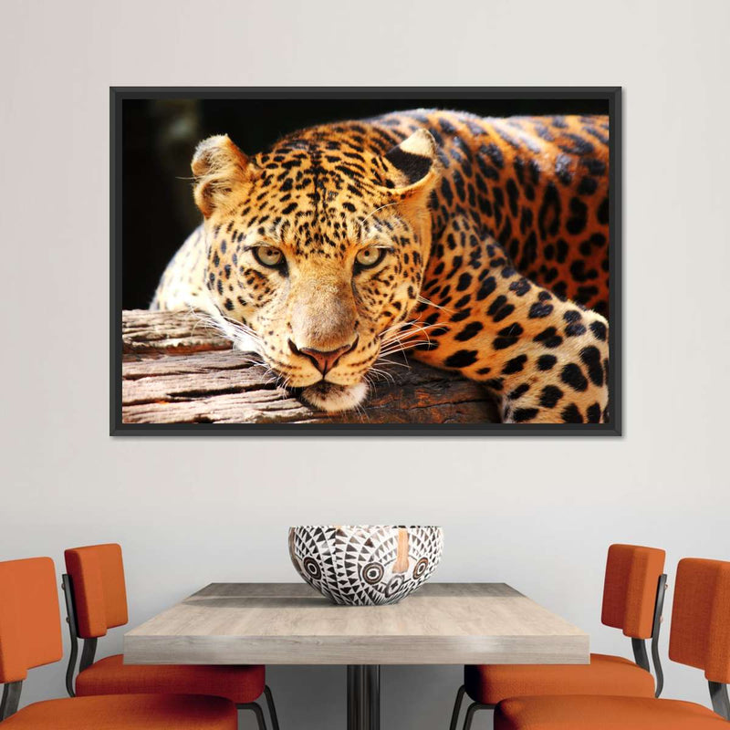 Leopard Gaze Wall Art