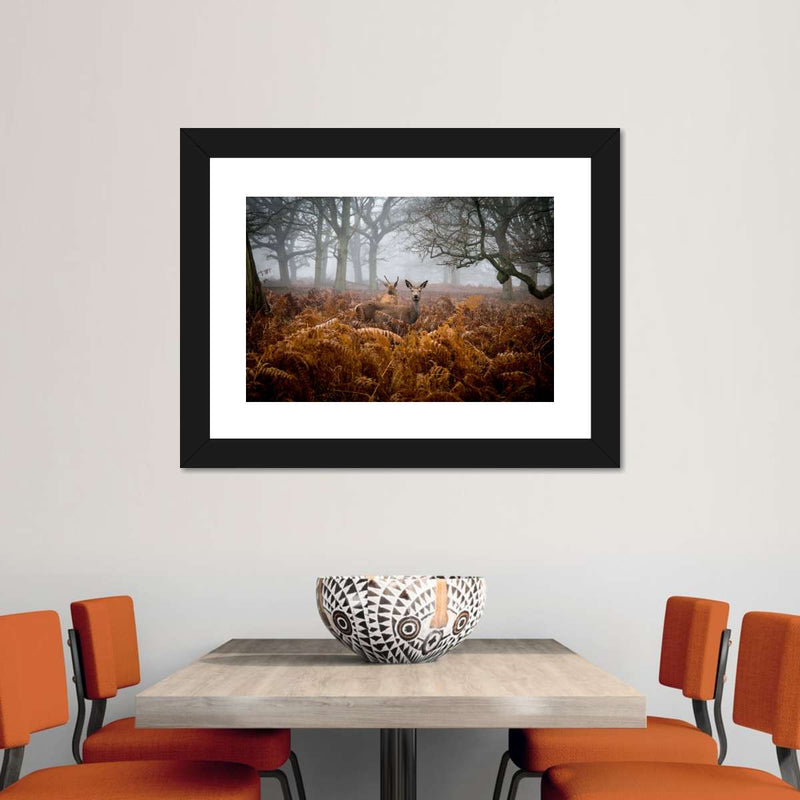 Richmond Park Deer Wall Art