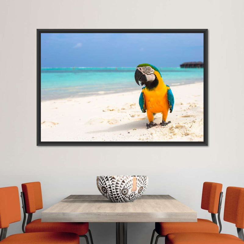 Parrot On Summer Day Wall Art