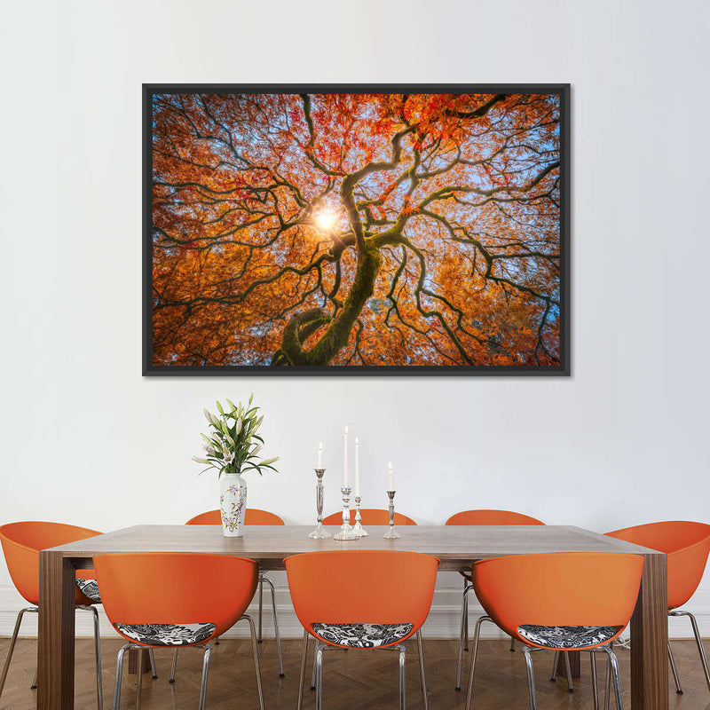 Japanese Maple Tree Wall Art