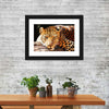 Leopard Gaze Wall Art
